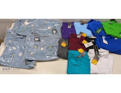 Bulk lot of new wholesale clothing including polo ...