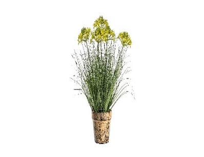RRP: $119, Potted Grass w/5 Heads Yellow 530mm, 50...
