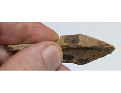 The Curio Collection (A999) - Lot 568