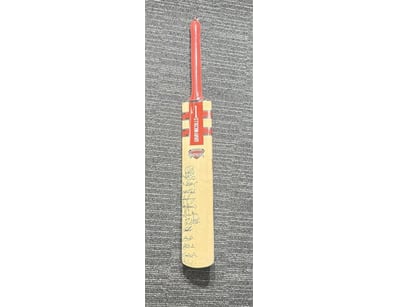 SIGNATURE VIPER CRICKET BAT SIGNED BY AUSTRALIAN N...