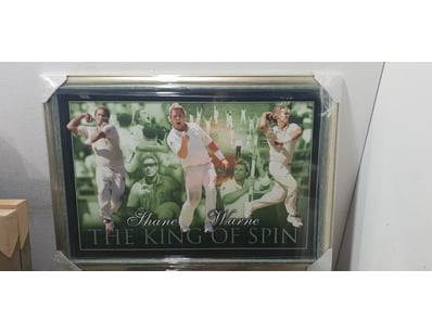 Framed commemorative print featuring Shane Warne, ...