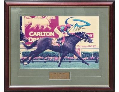 CHRIS MUNCE SIGNED 'SAVABEEL' FRAMED PHOTO

Item...