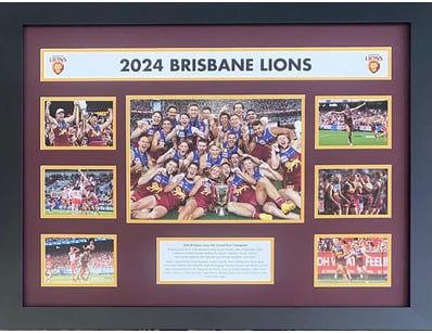 Mancave & Memorabilia (A1003) - Lot 787