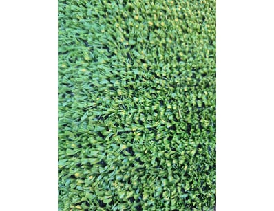Artificial Turf Clearance (A1004) - Lot 5