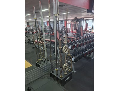 Gym Equipment Liquidation (ON11749) - Lot 34