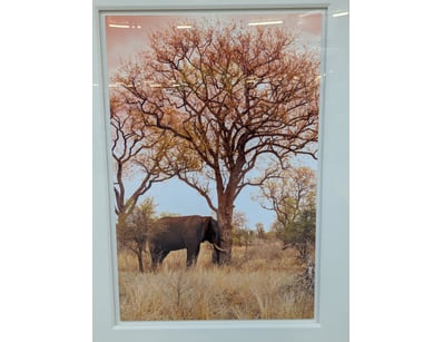 

PETER LIK

Original Limited Edition Photogra...