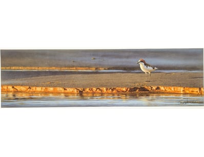 Art Market (A986) - Lot 1104