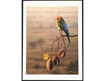 Art Market (A983) - Lot 5029