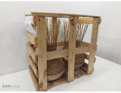 two woven wicker basket Pots 56cmH x 30cmW. large ...