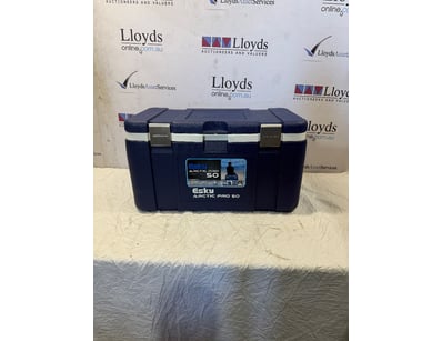 UNRESERVED Airport - Lost Property (A980) - Lot 507