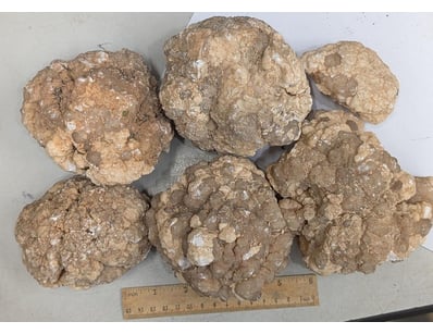 Antiques, Vintage & Interior Treasures (A998) - Lot 1503