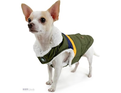 Huskimo Lightning Bolt Dog Coat 46cm - Olive - RET...