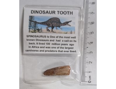 Antiques, Vintage & Interior Treasures (A1006) - Lot 8009