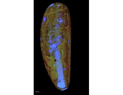 15.8 CARATS OPALTON BOULDER OPAL   

Dimensions: 2...