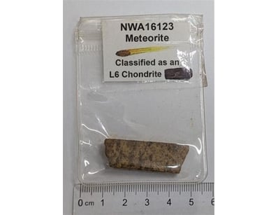 Antiques, Vintage & Interior Treasures (A1006) - Lot 8000