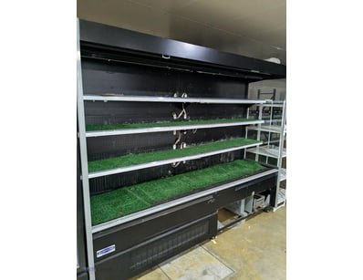 "Refrigerated Commercial Showcase - Austune AMD-25...