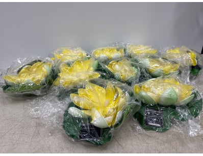 Unclaimed Freight (GCA1002) - Lot 2853