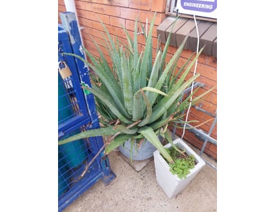 Metal Fabrication Workshop Liquidation (ON12068) - Lot 178