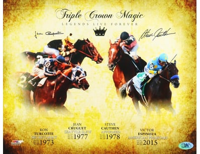 Mancave & Memorabilia (A981) - Lot 1400