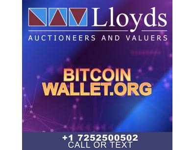 Historic Domain Auction: Bitcoin Portfolio + Icon... - Lot 7