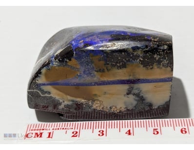 AUSTRALIAN BOULDER OPAL SAMPLE 5.5CM LONG, 128GMS ...