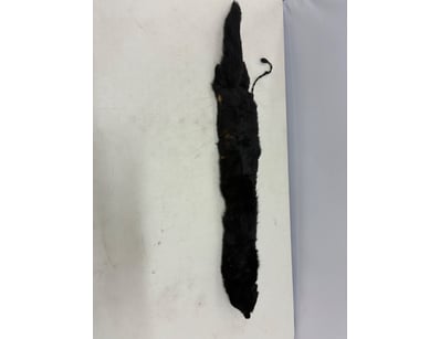 Antiques, Vintage & Interior Treasures  (A1005) - Lot 702