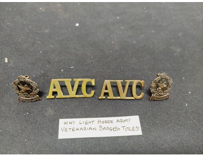 WWI LIGHT HORSE ARMY VETERINARIAN BADGES AND TITLE...