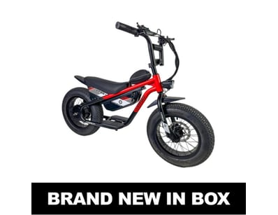 Major E-Mobility Liquidation (ON11995) - Lot 43