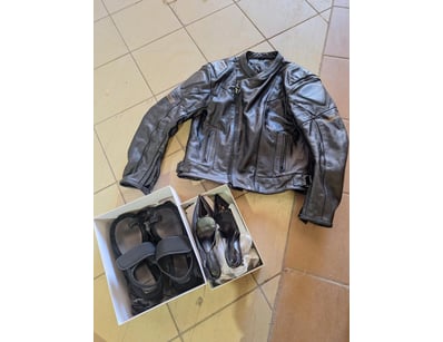 The Curio Collection (A1000) - Lot 2108