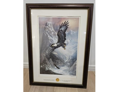 The Curio Collection (A979) - Lot 8058