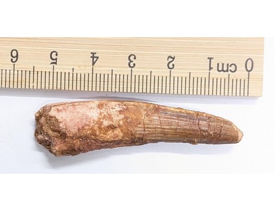 Antiques, Vintage & Interior Treasures (A998) - Lot 1501