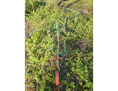 Vintage hand cultivator/plow, green

Onsite

Loc...