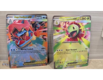 POKEMON JUMBO MAGANIUM AND FERALIGATOR PROMOS



S...