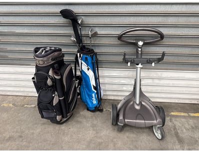 Warehouse Clearance (VICA999) - Lot 3176