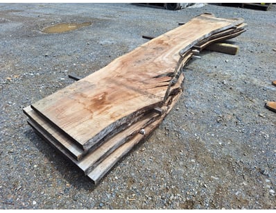 Hardwood Timber Slabs (ON4481) - Lot 5