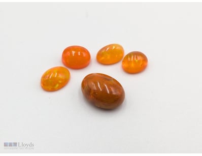 14.1CT ORANGE OPALS


665336+68

