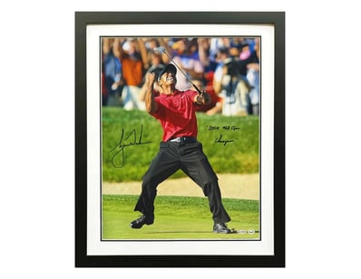 Iconic Memorabilia (A978) - Lot 102