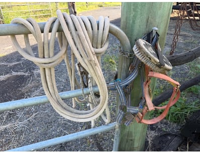 Equine Gear, Bridles, Ropes & Brush

SOLD AS LOT

...