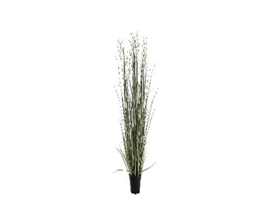 RRP: $239.95, Potted Grass w/3 Heads Green/Russet ...