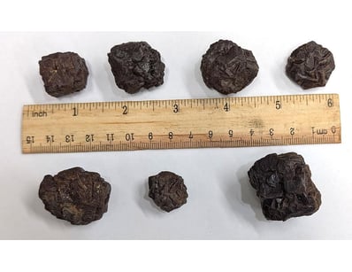 The Curio Collection (A988) - Lot 5017