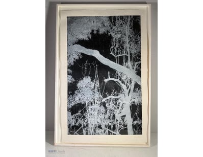 ANDREW TAYLOR

Limited Edition Screen Print On Pap...