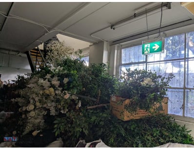 Large mixed plastic plant collection comprising gr...