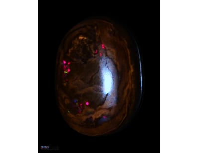 21CT OPALTON BOULDER OPAL   

Dimensions: 20 X 15 ...