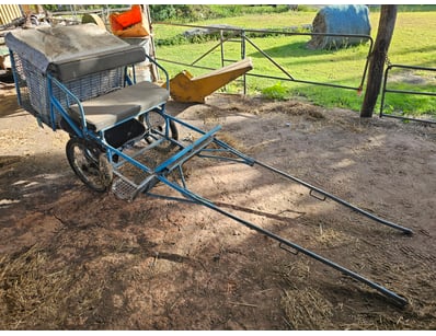 Two wheel horse drawn cart, metal, blue

Onsite

L...