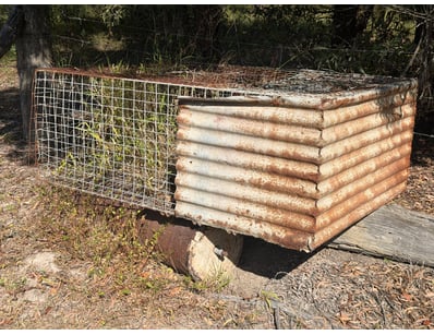 Animal Cage/Trap, Rusted

Location: Bundaberg, QLD...