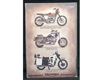 SINGLE VENDOR LIFETIME COLLECTION (A1001) - Lot 853