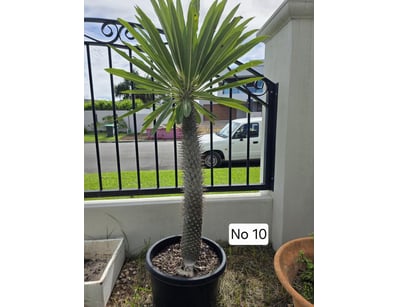 House & Homewares (A91001) - Lot 1373