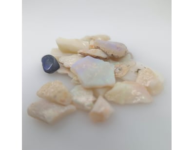Opal Grandeur (A977) - Lot 7045
