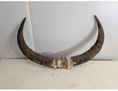 Deceased Estate - Homeware and Furniture (NTA996) - Lot 91