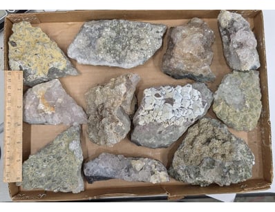 The Curio Collection (A999) - Lot 560